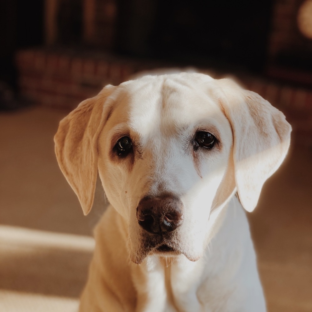 Meet your Posher, Jack